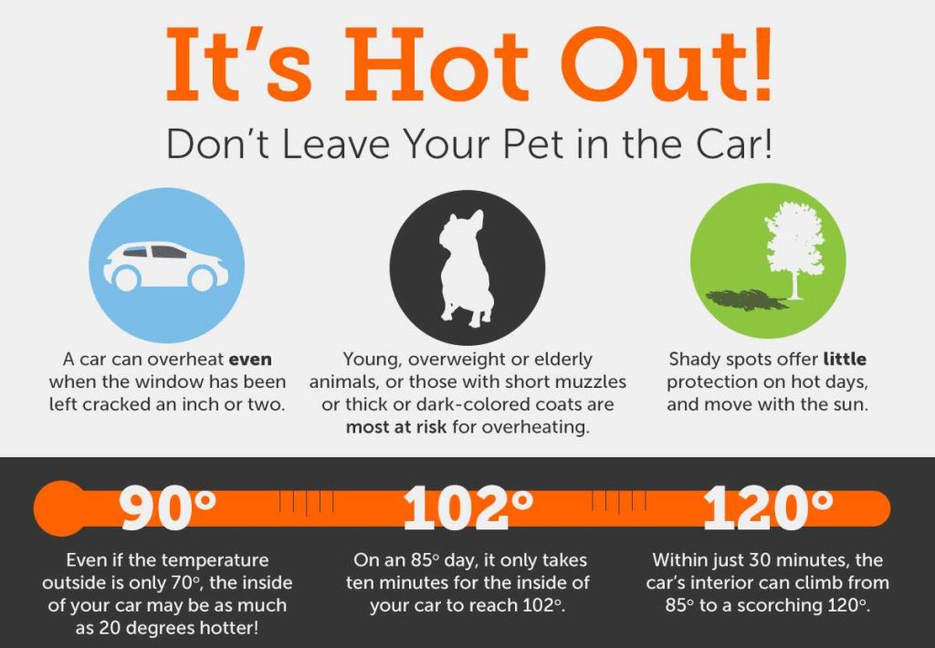 It’s illegal to leave a dog unattended in warm temperatures
